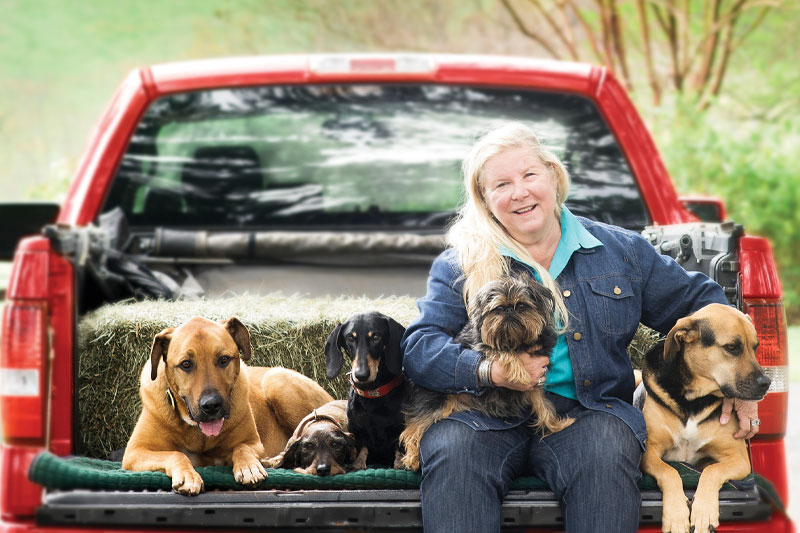Pattie Harris Zeller sitting on the back of a truck with her five dogs.