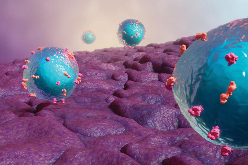 Graphic of Car T cells invading a tumor environment.