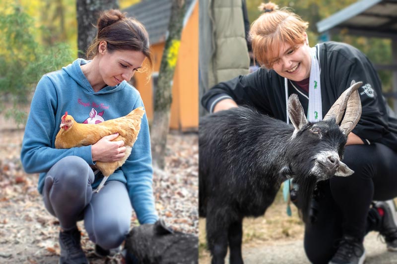 Photography students petting goats and holding chickens.