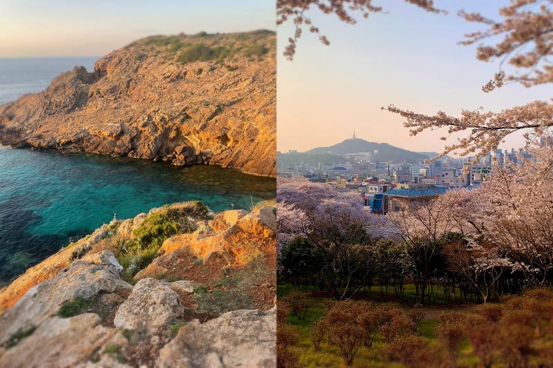 Two views of different cities - one overlooks a Mediterranean sea and another cherry blossoms over a city with hills.